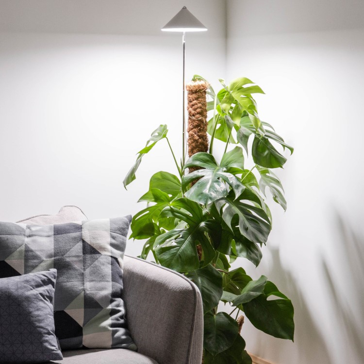 Plant lamp on spike XL 25W