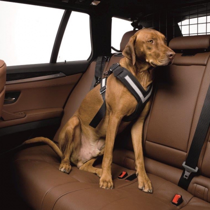 how do dog car seat belts work