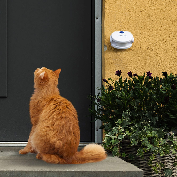 wireless cat doorbell