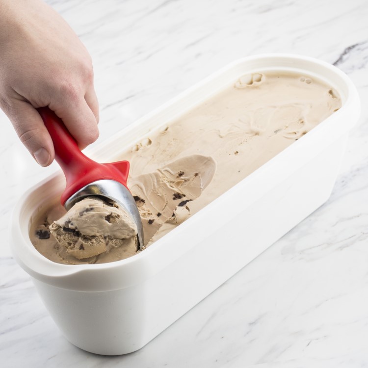Ice cream tray - Large ice cream container for homemade ice cream
