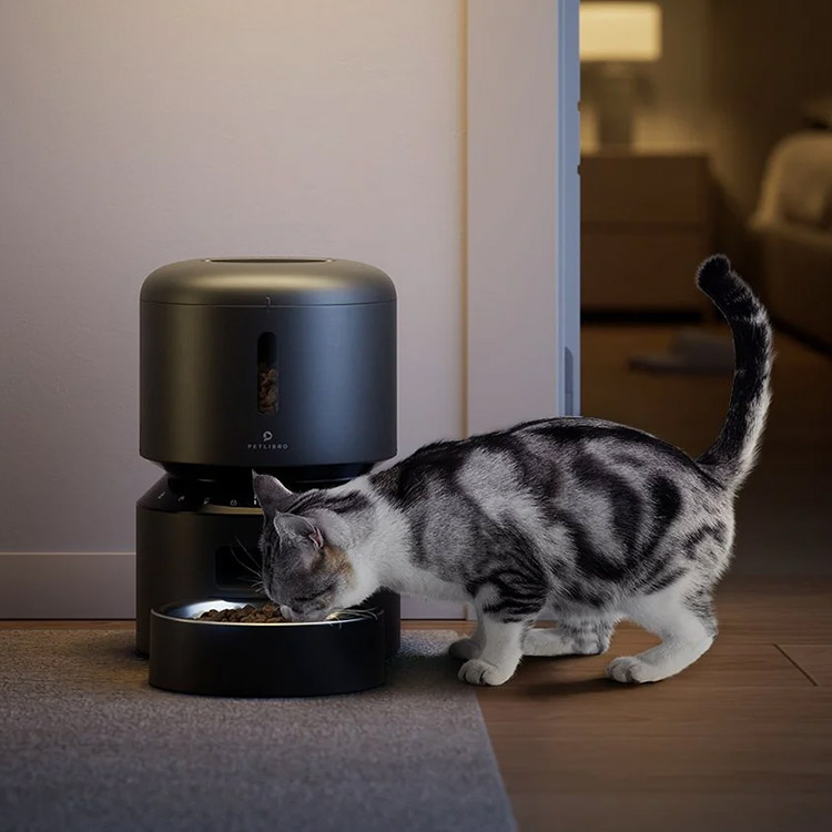 Rotating cat outlet feeder