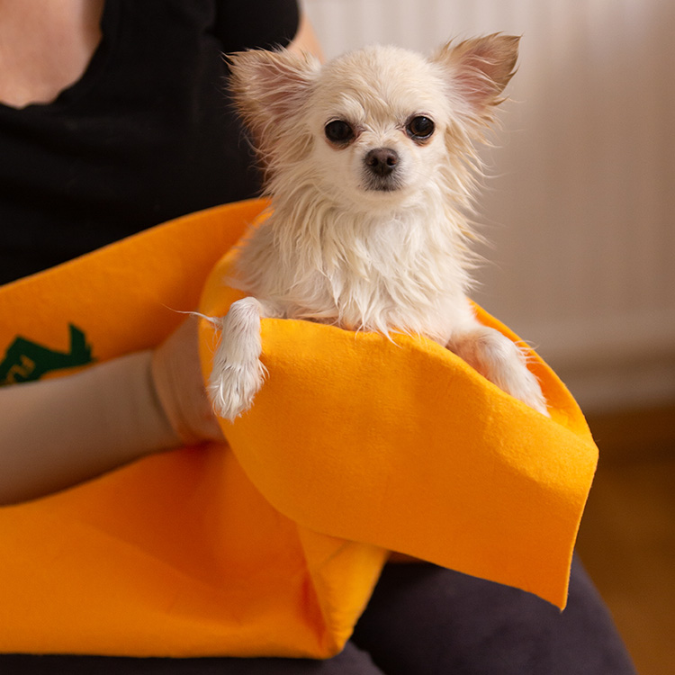 Dog towel