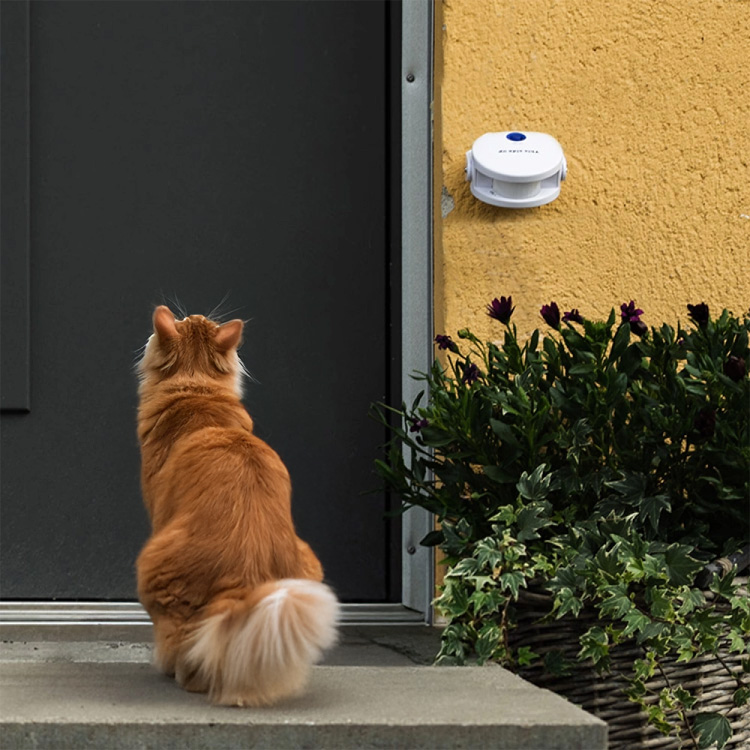 Cat Doorbell