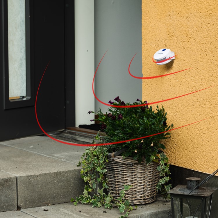 Cat Doorbell