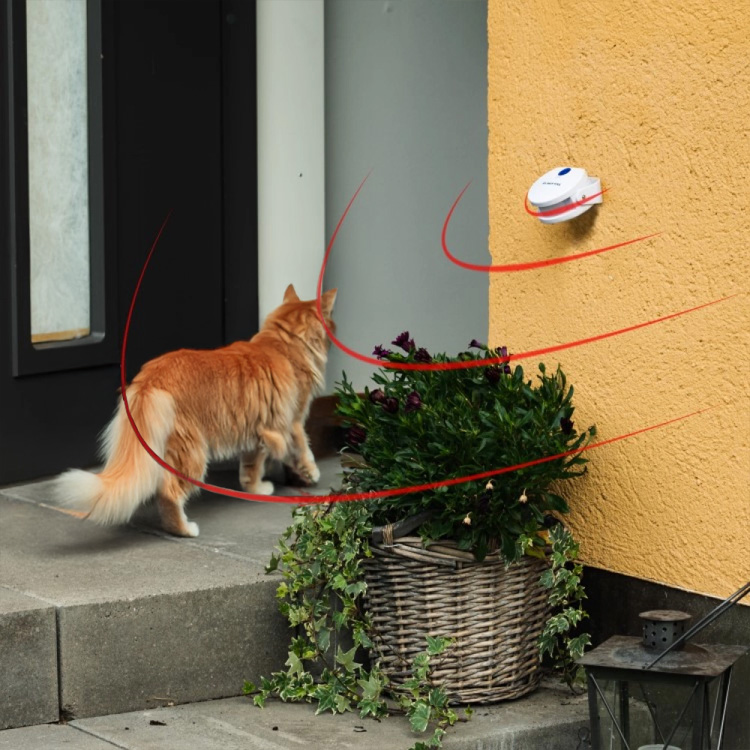 Cat Doorbell