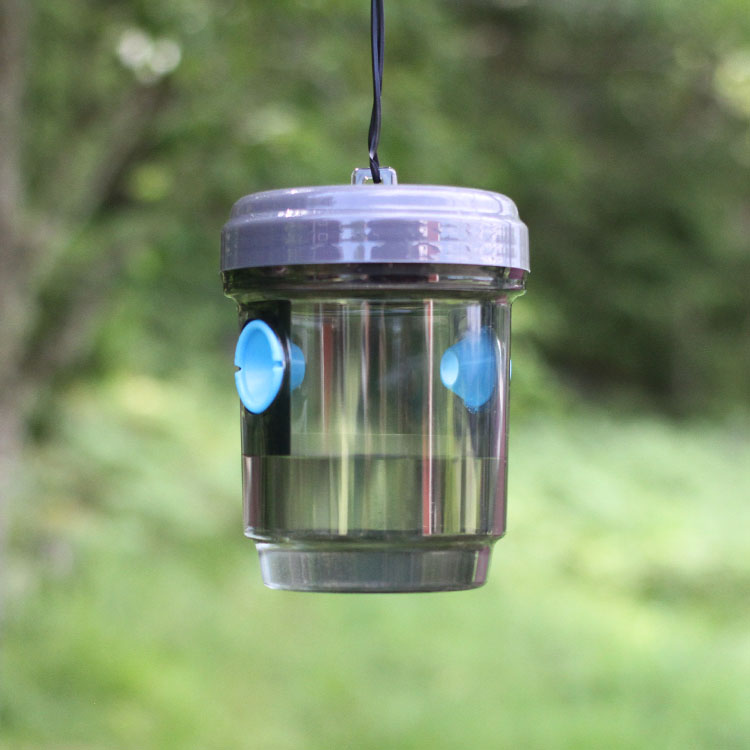 Fly and wasp trap