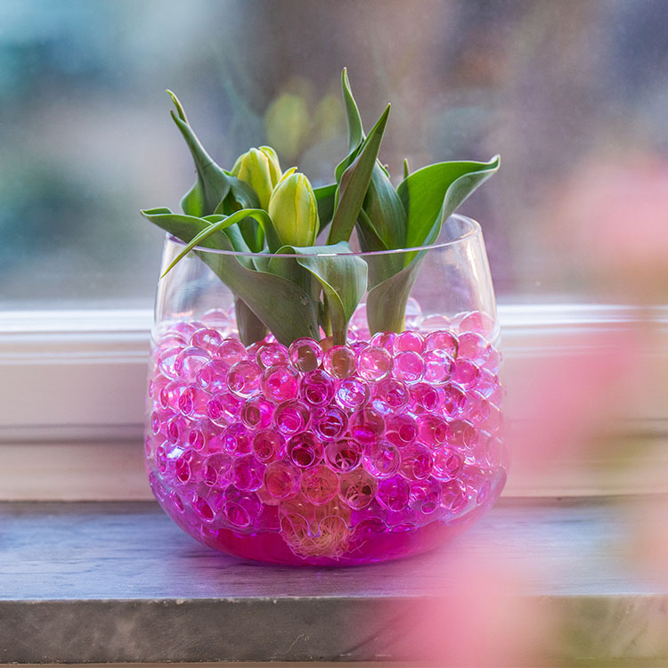 Water beads for plants