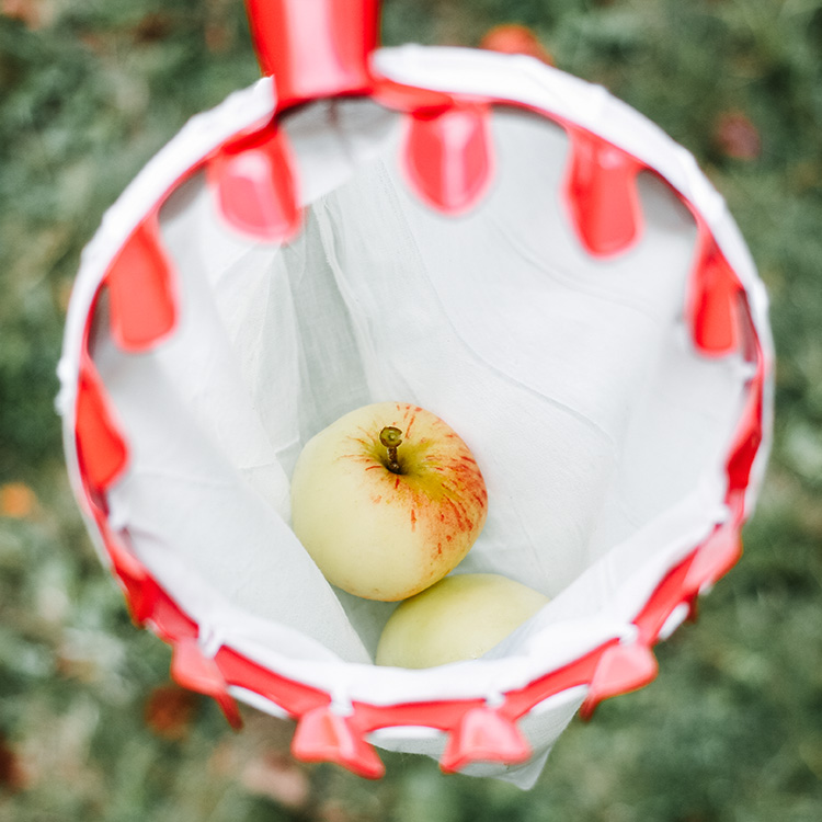 Fruit picker