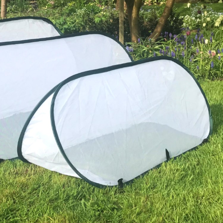 Farming tunnel with insect net