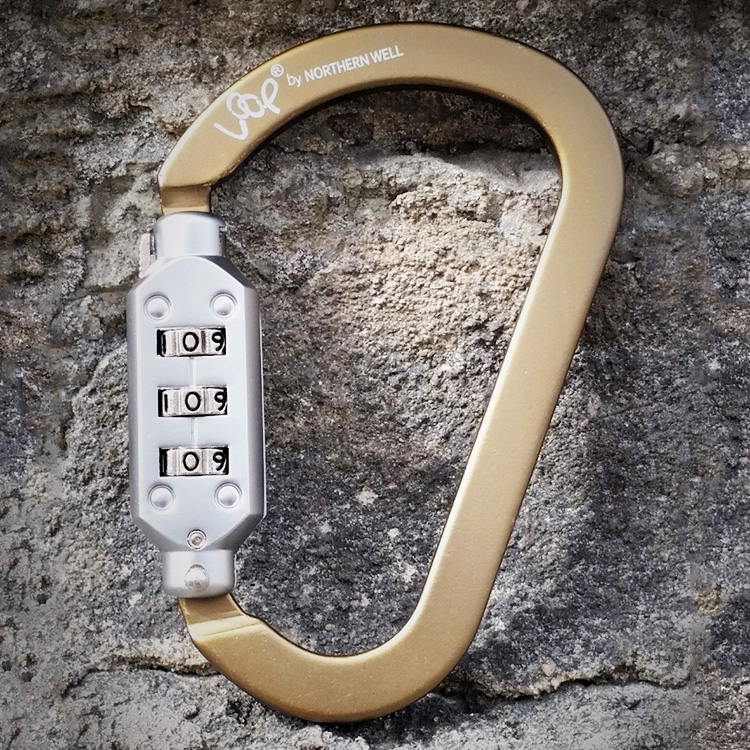 Carabiner hook with combination lock