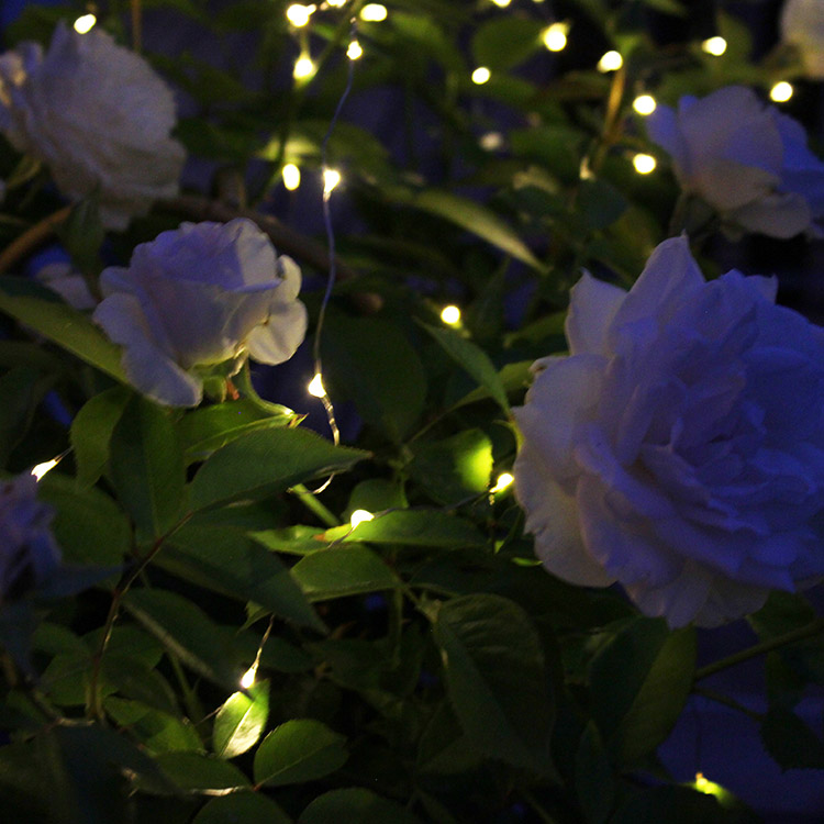 Solar powered string lights