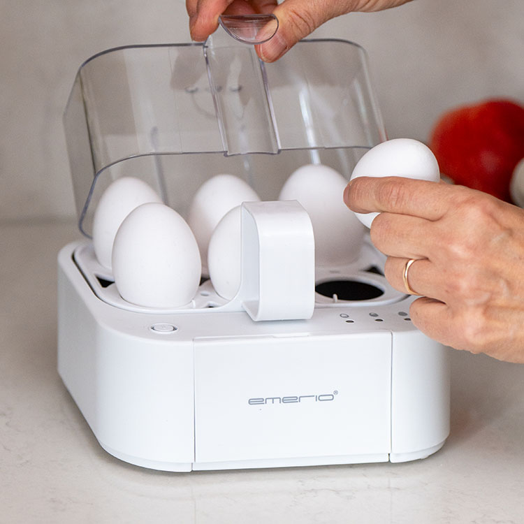 Talking egg cooker