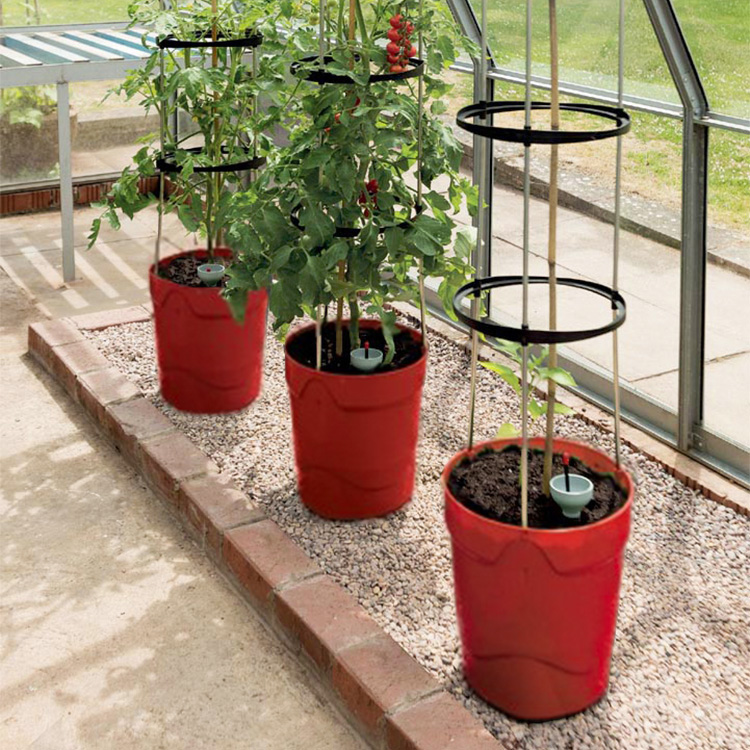 Self-watering pot with plant support