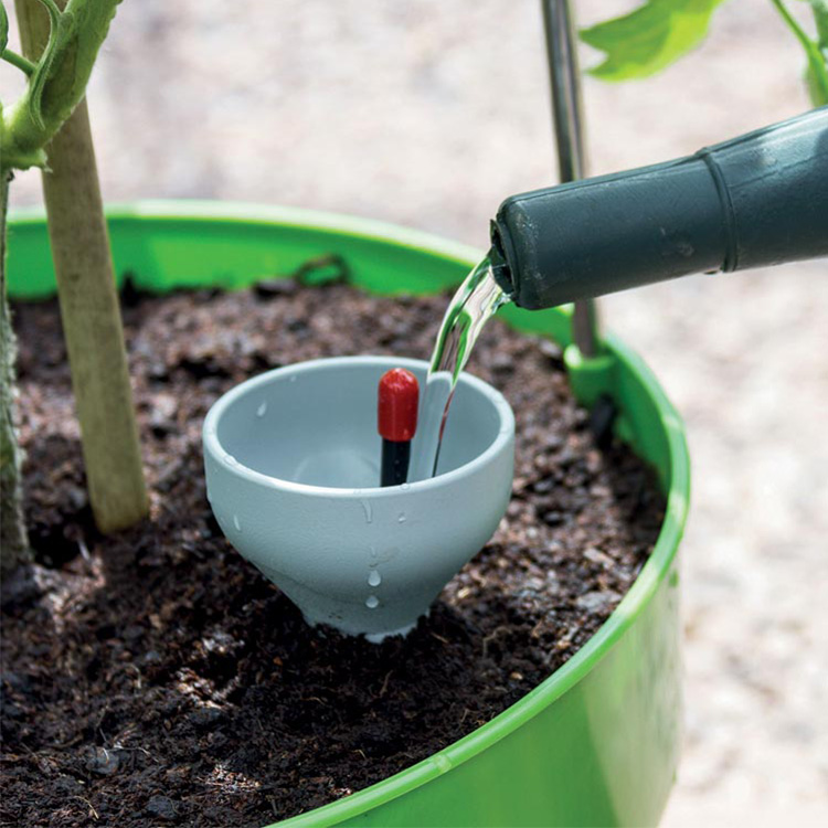 Self-watering pot with plant support