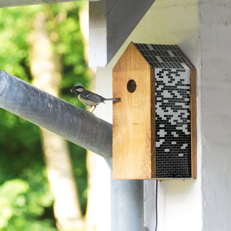 Bird Feeder With Web Cam