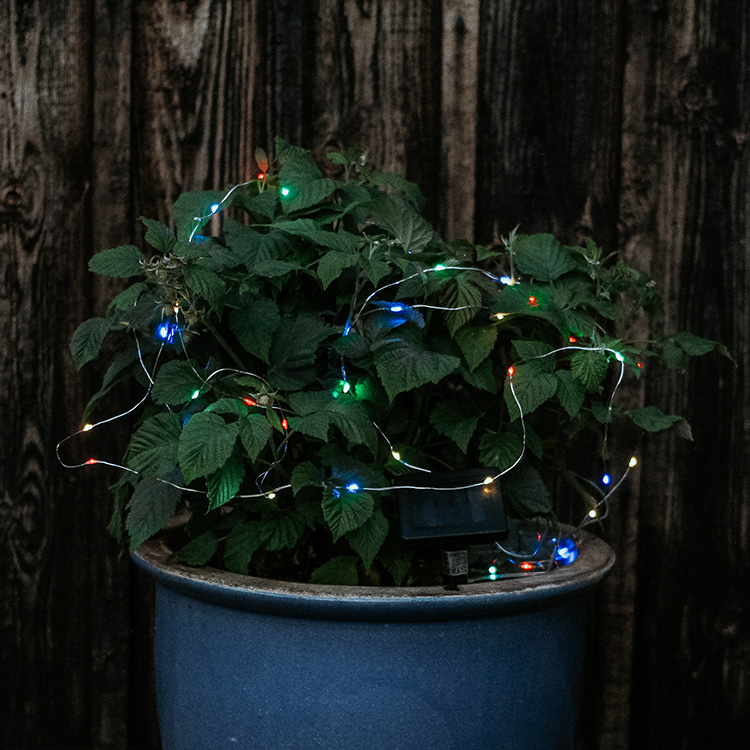 Solar-powered string lights with coloured lamps