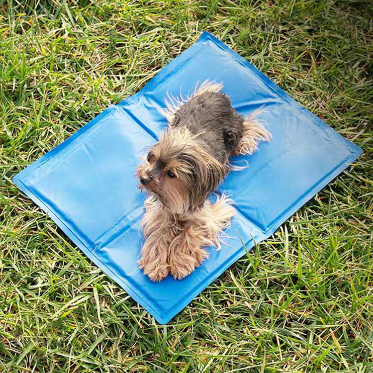 Cooling dog mat