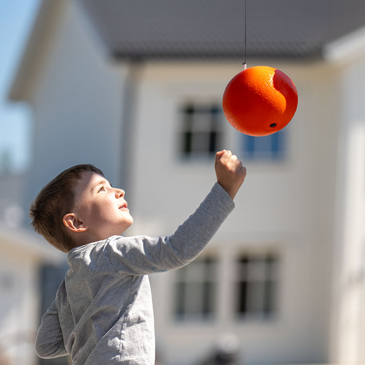 Bolley exercise ball