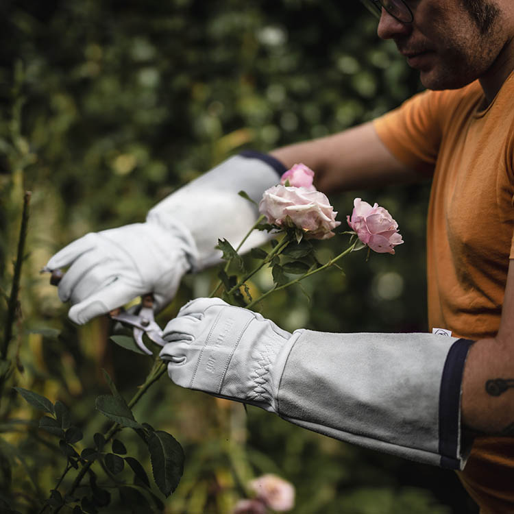 Rose Gloves