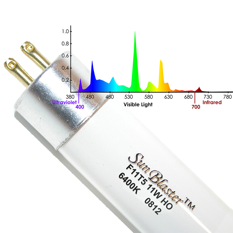 Replacement Fluorescent Light for Your Indoor Grow Box