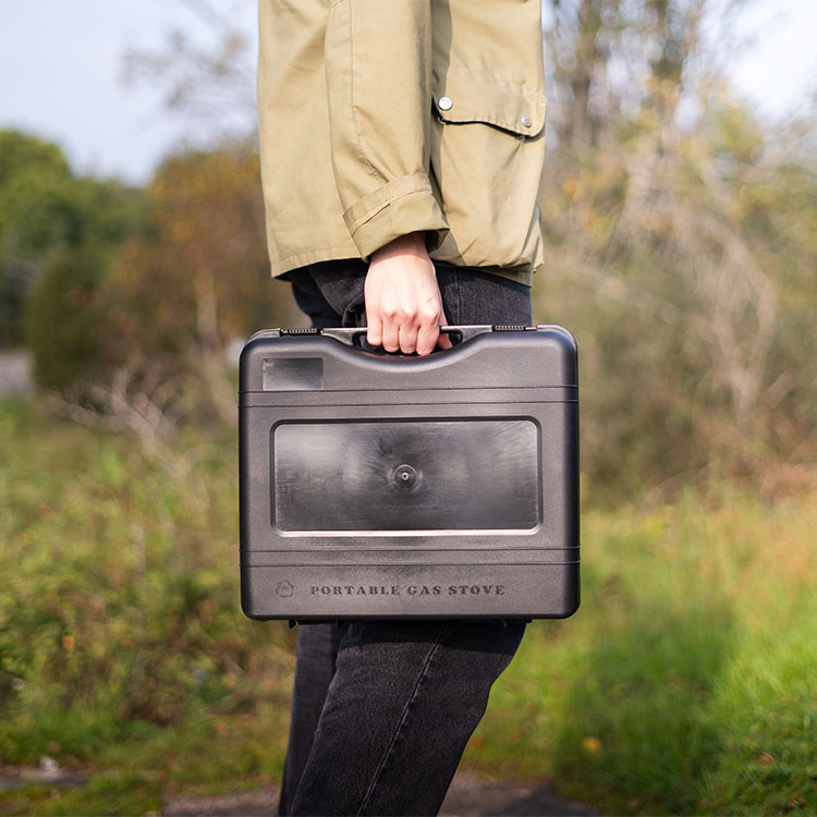 Portable gas stove