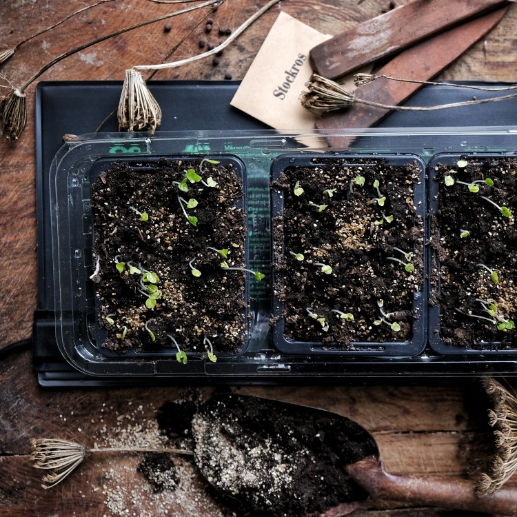 Heating Mat for Plants