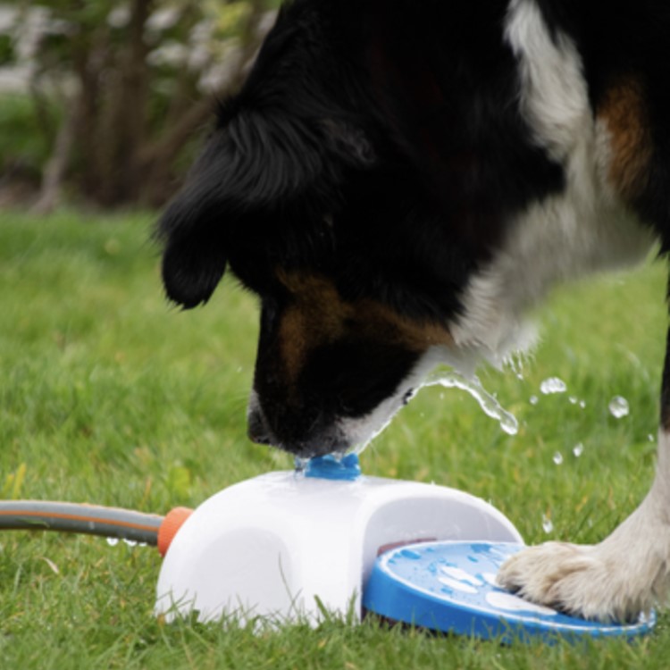 Dog Sprinkler Mat - Blue water mat Ø 100 cm