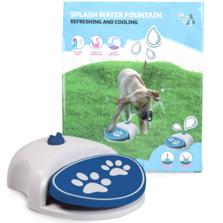 Dog Water Fountain