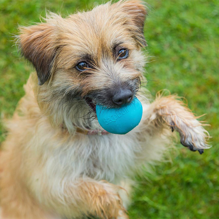 Dog Activity Ball