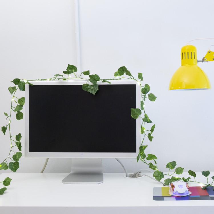 USB driven fairy lights with green leaves