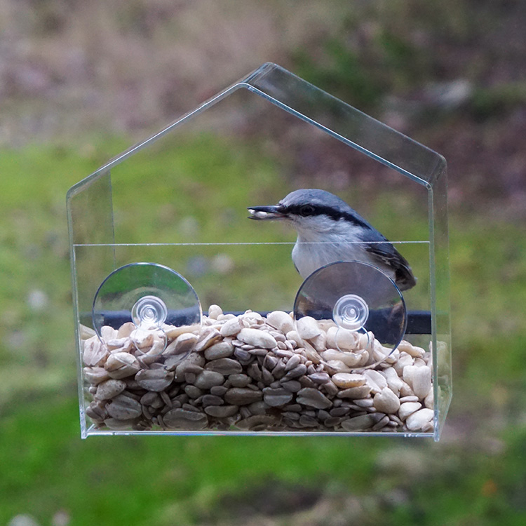 see through window bird feeder