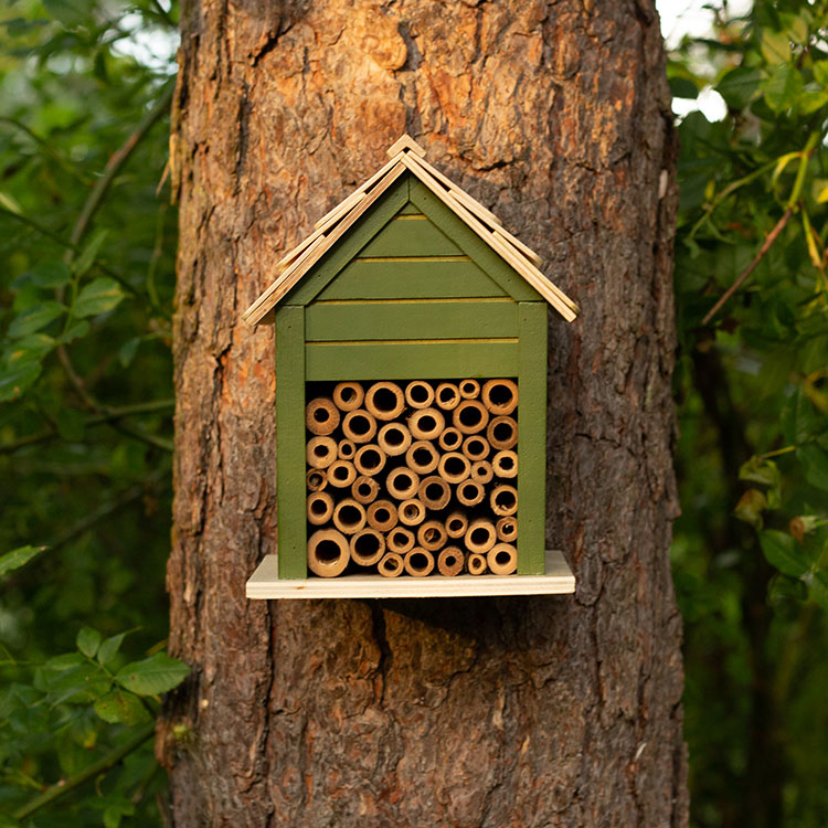 Bee Hotel