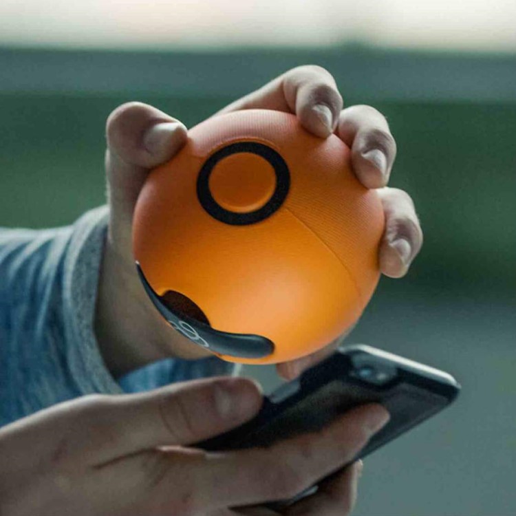 Activity game with a ball, Playfinity