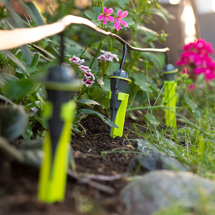 Automatic watering system