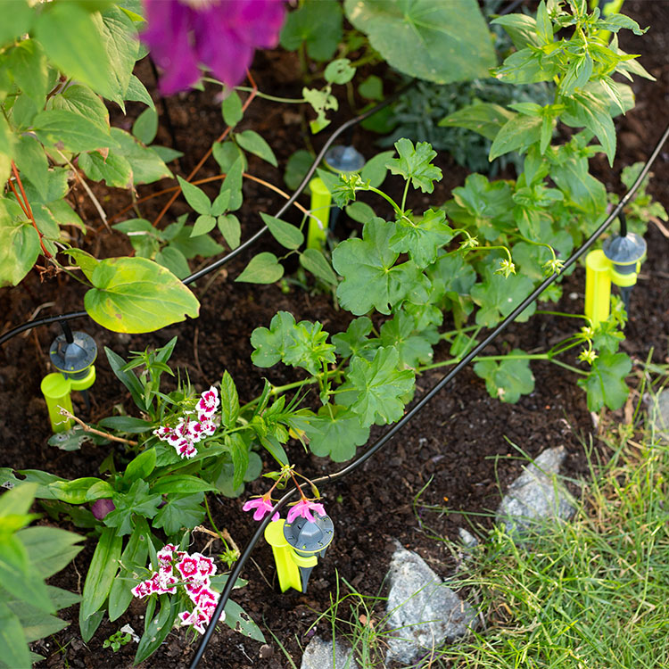 Automatic watering system