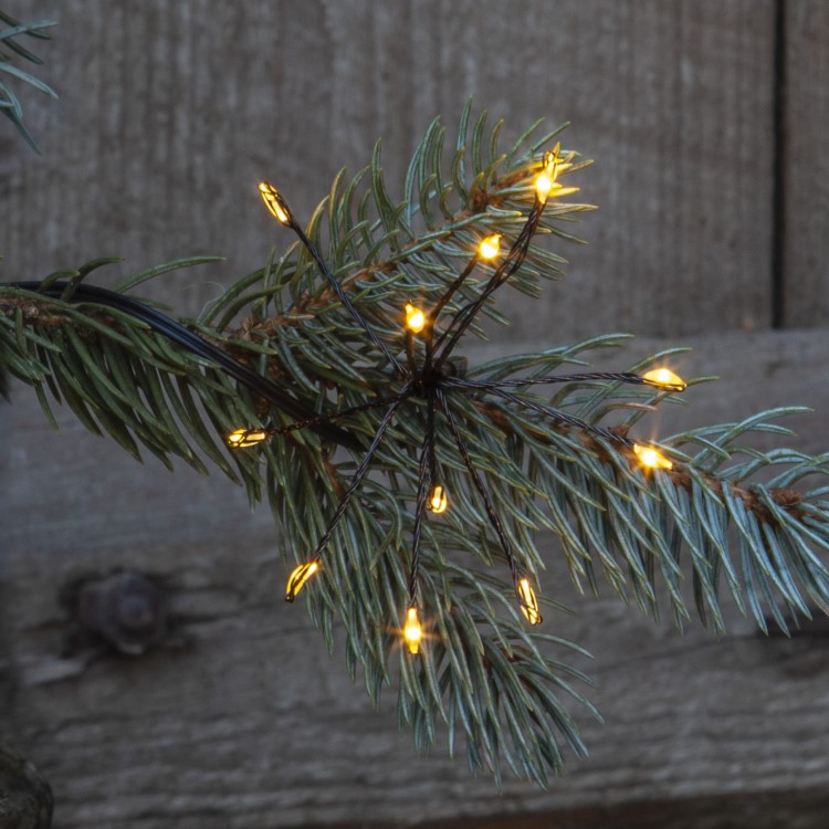 Solar-powered string lights, fireworks