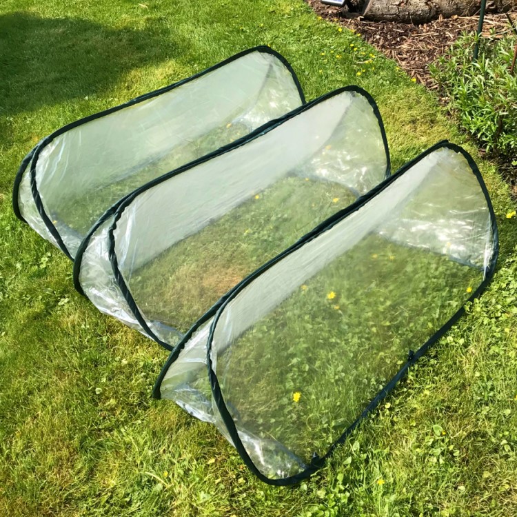 Farming tunnel in plastic