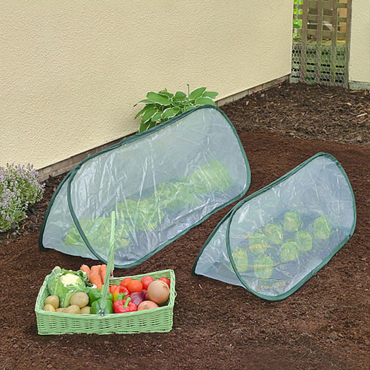 Farming tunnel in plastic