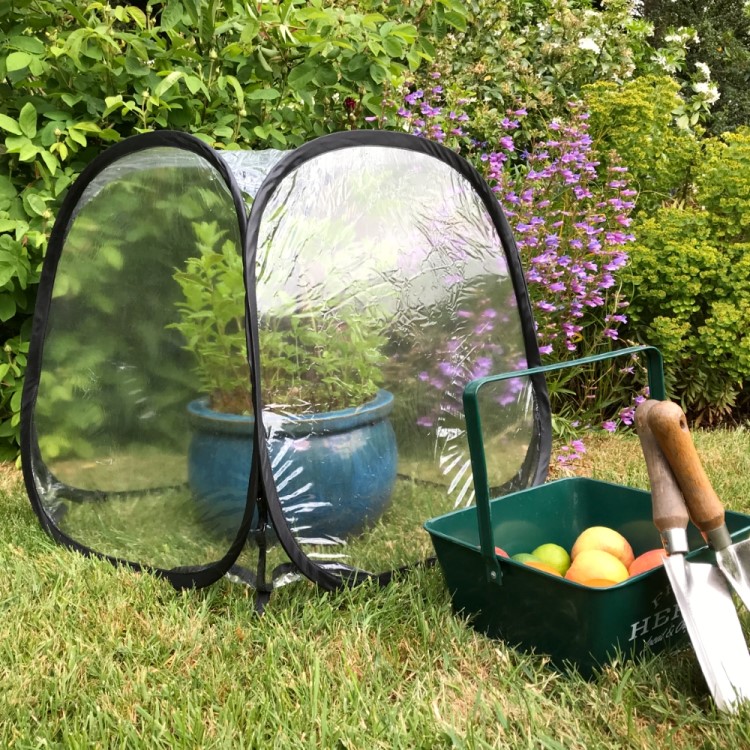 Small greenhouse for potted plants