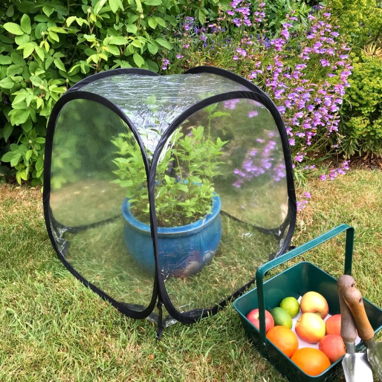 Small greenhouse for potted plants