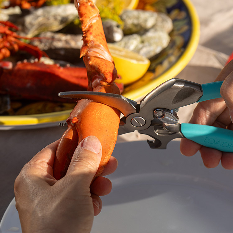 Crab claw cutter