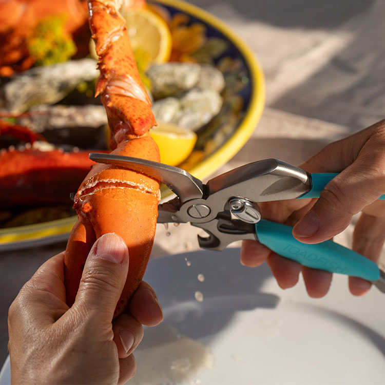 Crab claw cutter