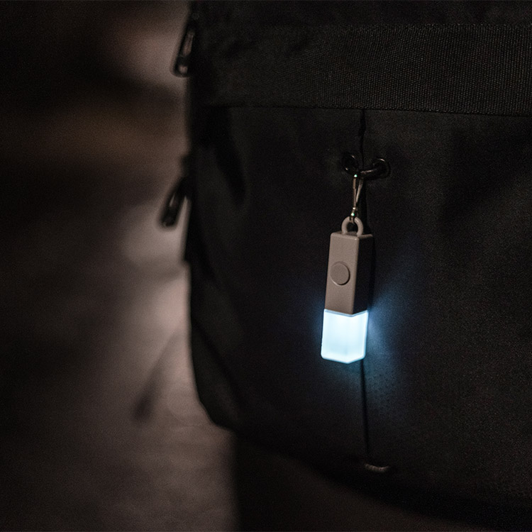 Rechargeable mini light