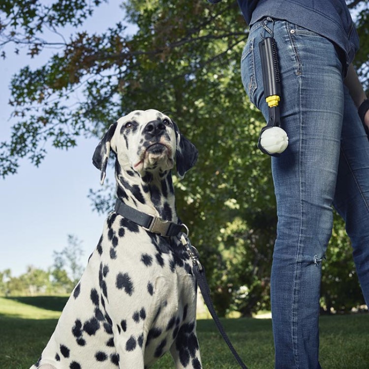 Collapsible ball thrower with LED ball