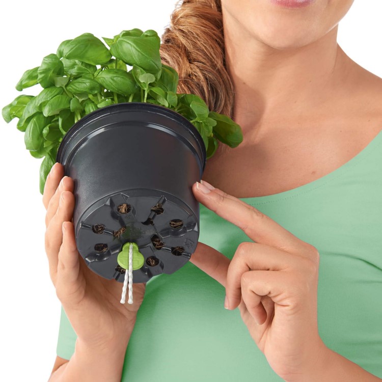 Self-watering plant pot, Face