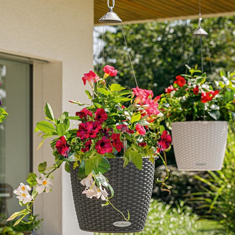 Self-watering hanging plant pot