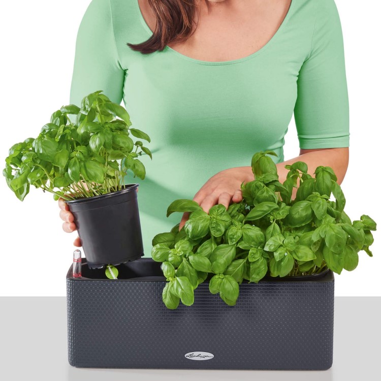 Self-watering balcony box