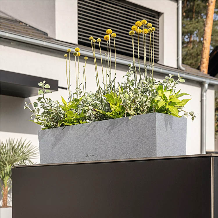 Self-watering flower box