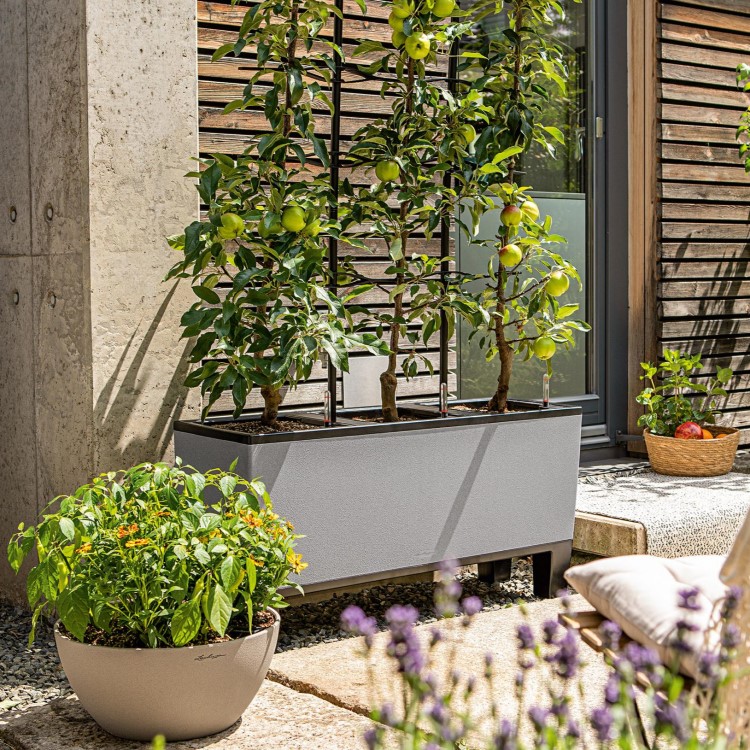 Self-watering planter box