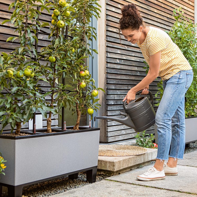 Self-watering planter box